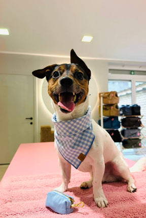 Gingham Sky bandana