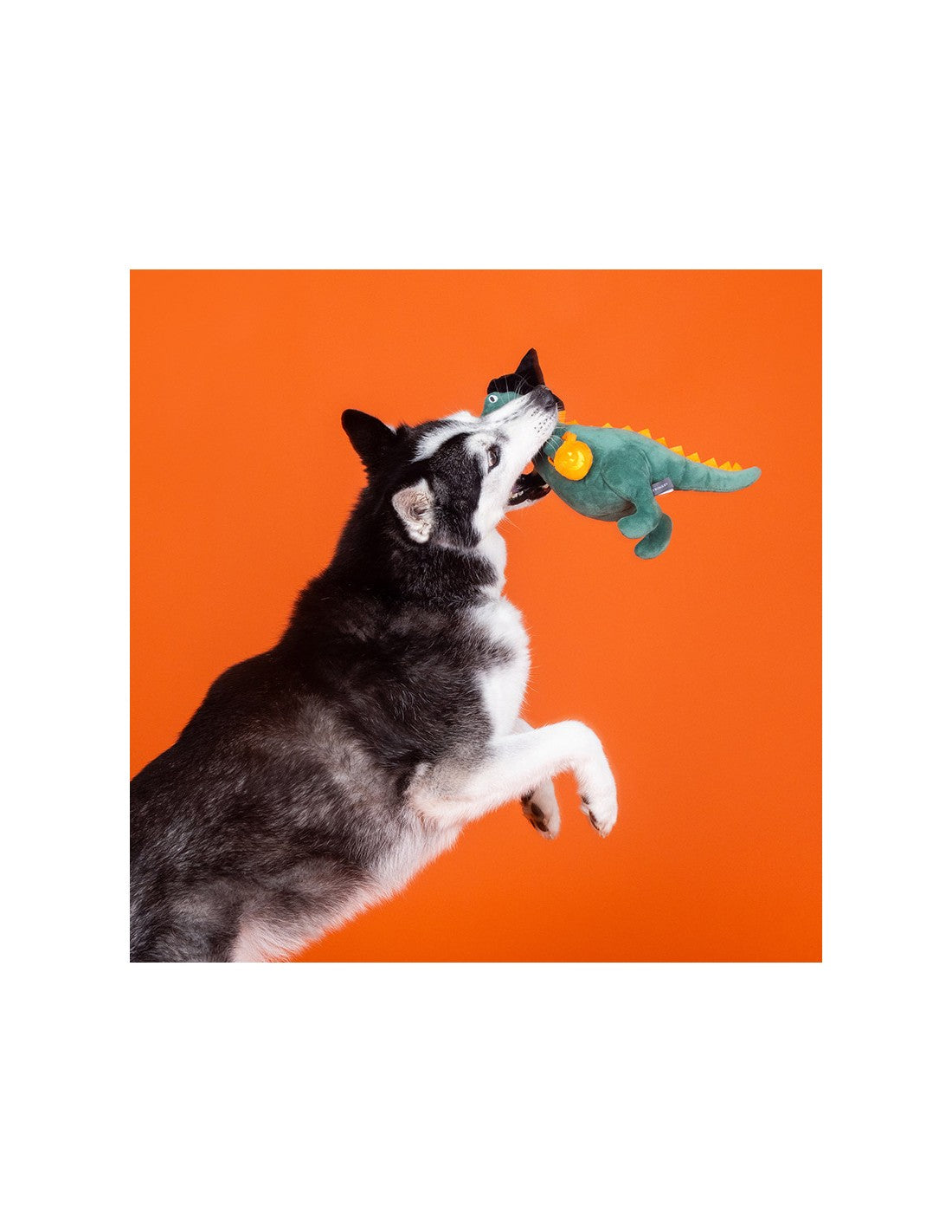 Trick ou traiter Rex