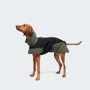 Manteau de chien everest olive