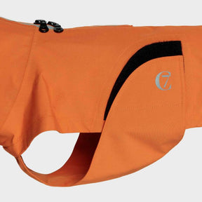 Raincoat Dublin Orange - a Dachshund special
