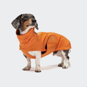 Raincoat Dublin Orange - a Dachshund special