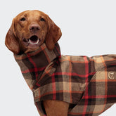 Glasgow orange raincoat