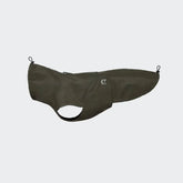 Raininincocoat Dublin Dark Olive - Un teckel spécial
