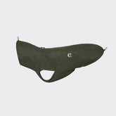 Chien imperméable Dublin Olive sombre