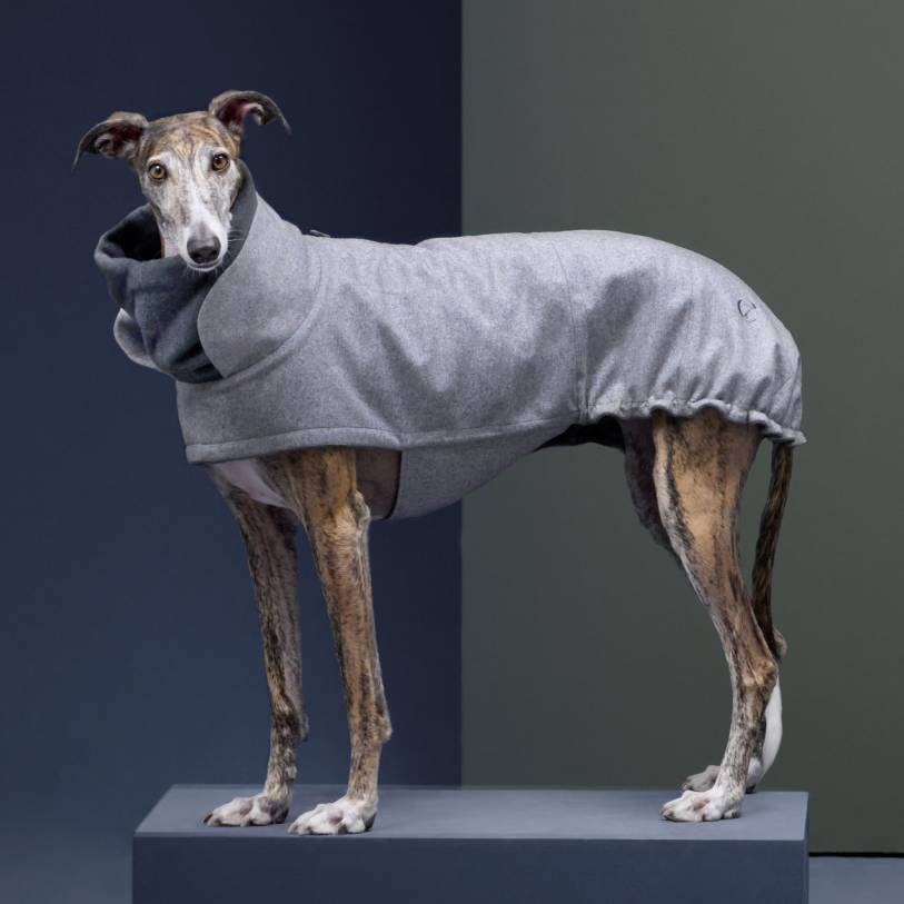 Flannel Gray - Grayhound Special