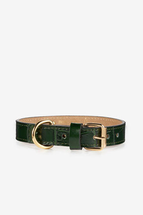 Croco Green Collar