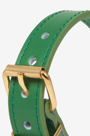 Star halsband groen