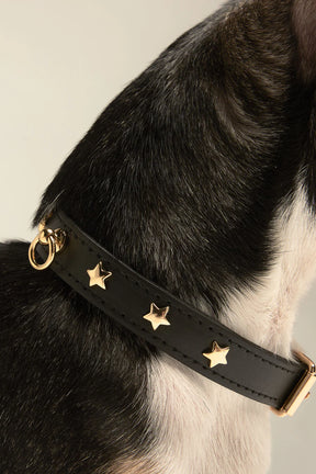 Star halsband black