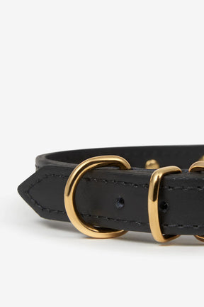 Star halsband black