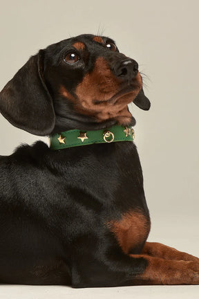 Star halsband