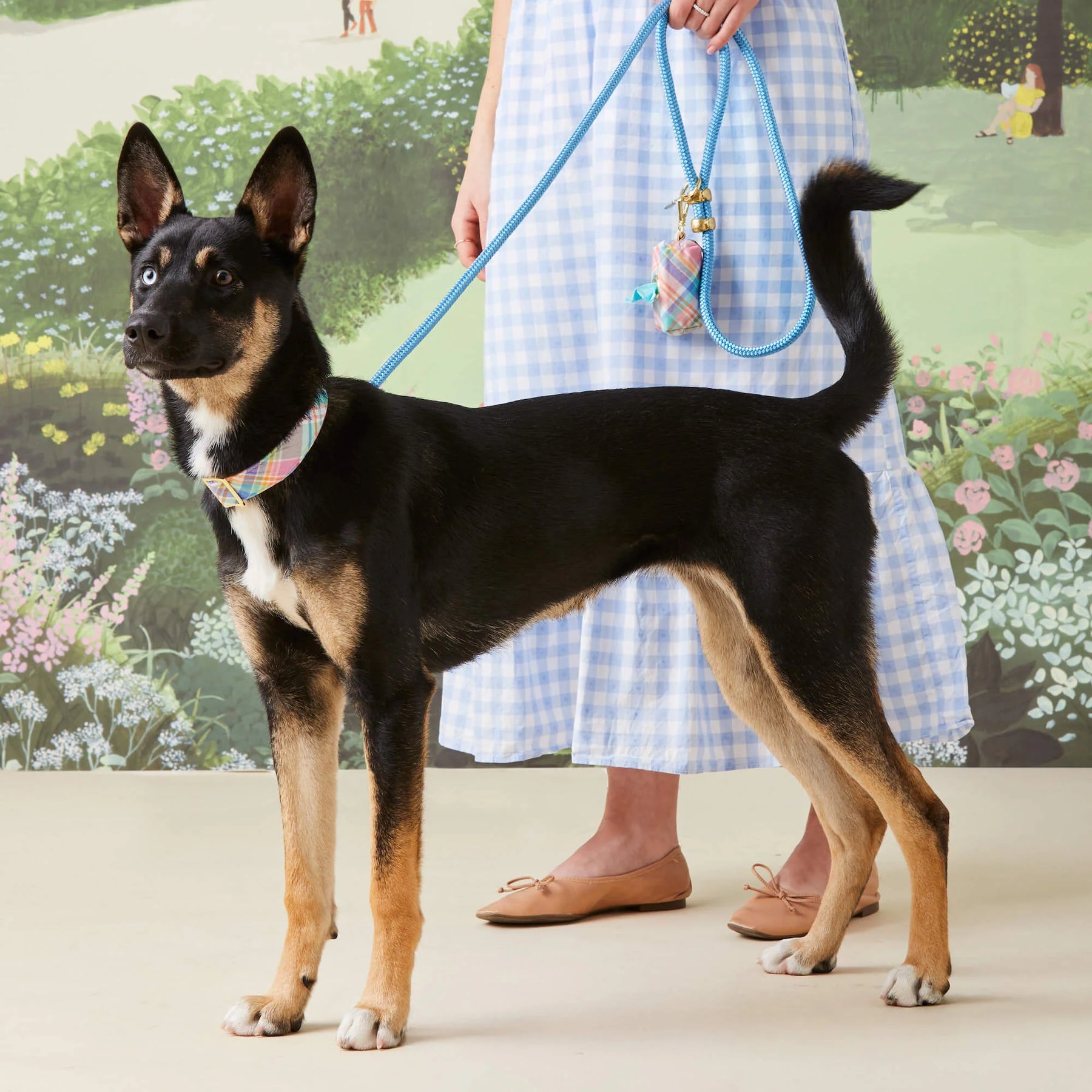 Camellia poepzakhouder