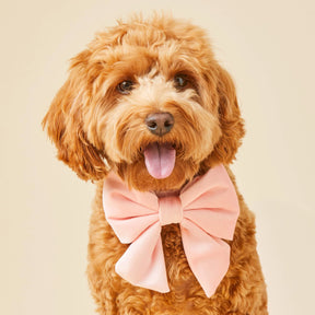 Wedding Blush Pink Lady Strik