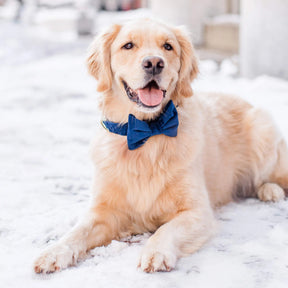 Dark blue velvet strik