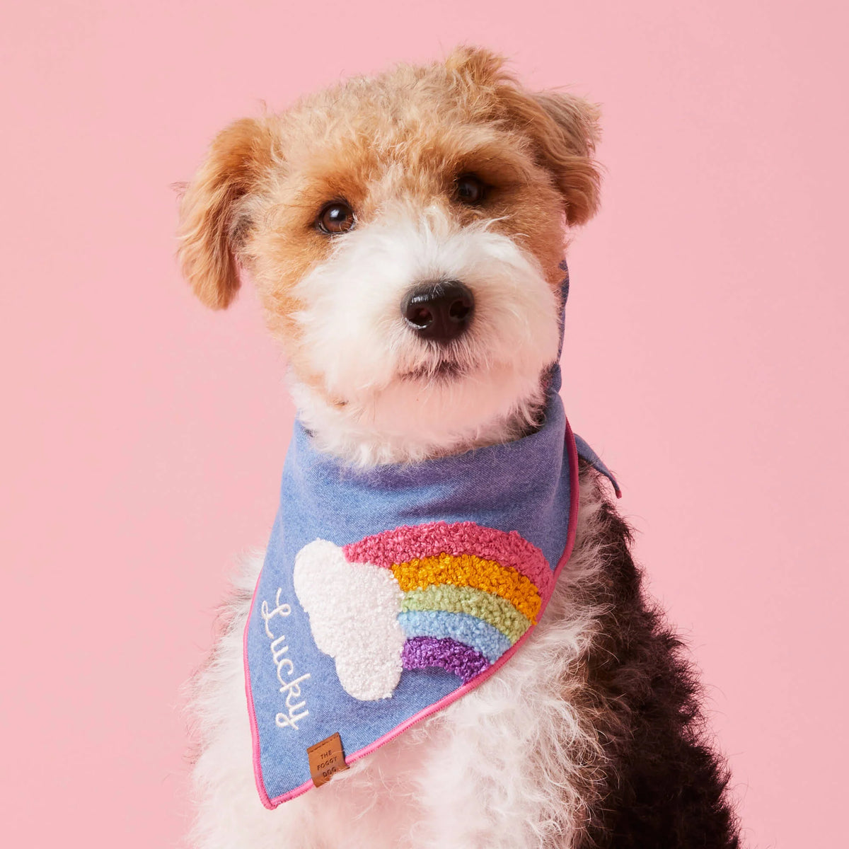 Rainbow bandana