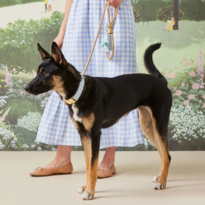 Gingham Sky poepzakhouder