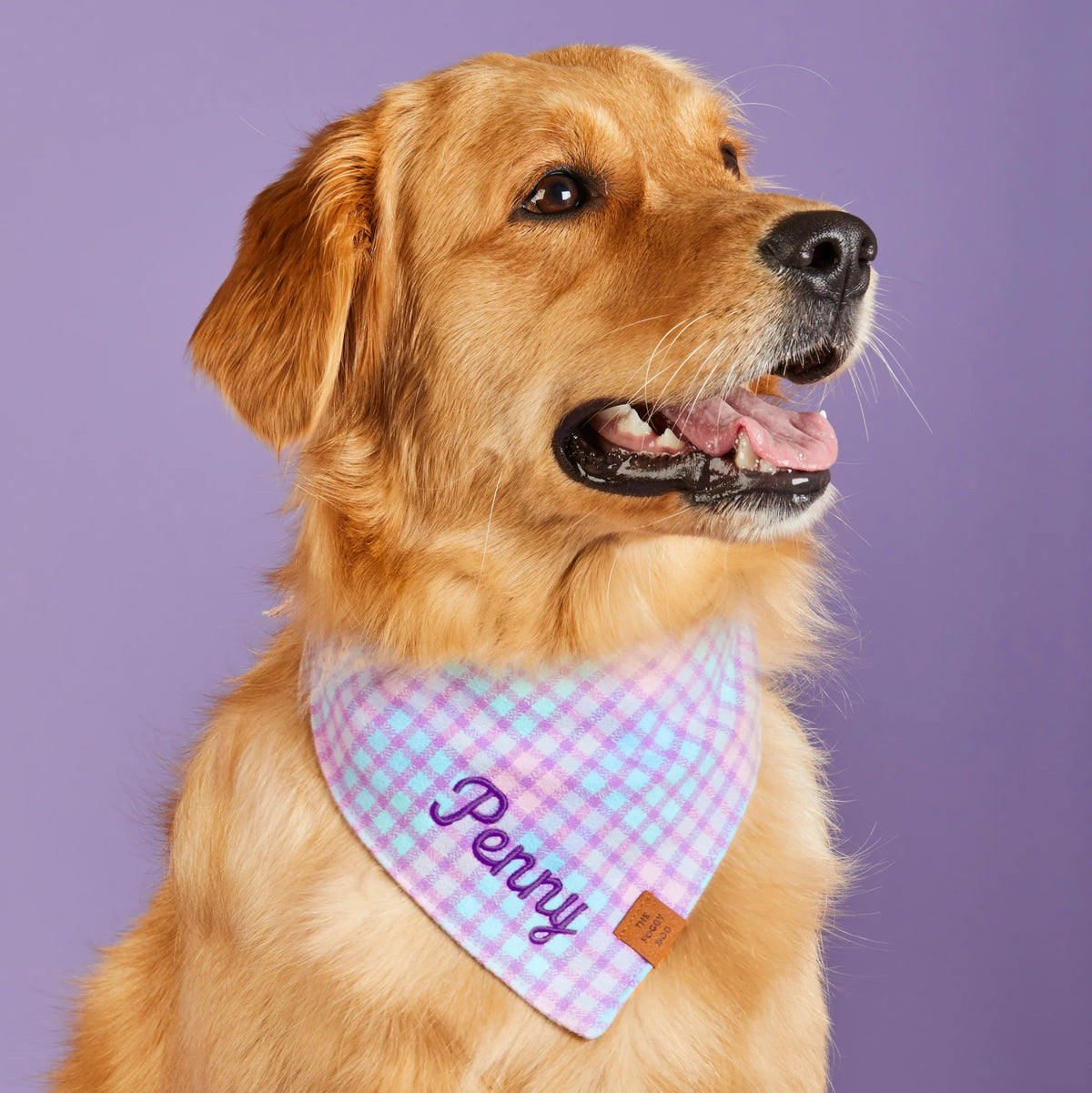 Spring plaid bandana