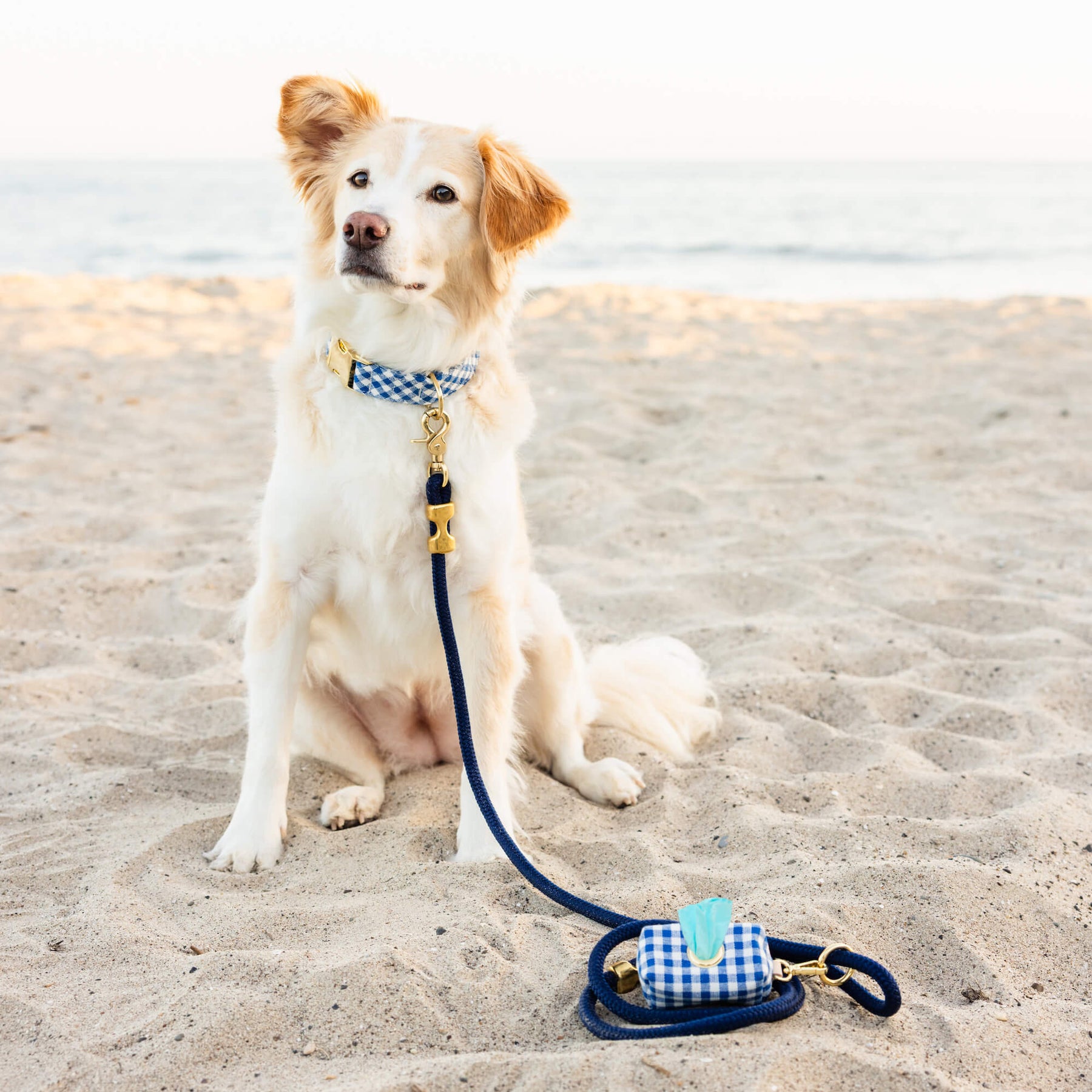 Gingham blue poepzakhouder