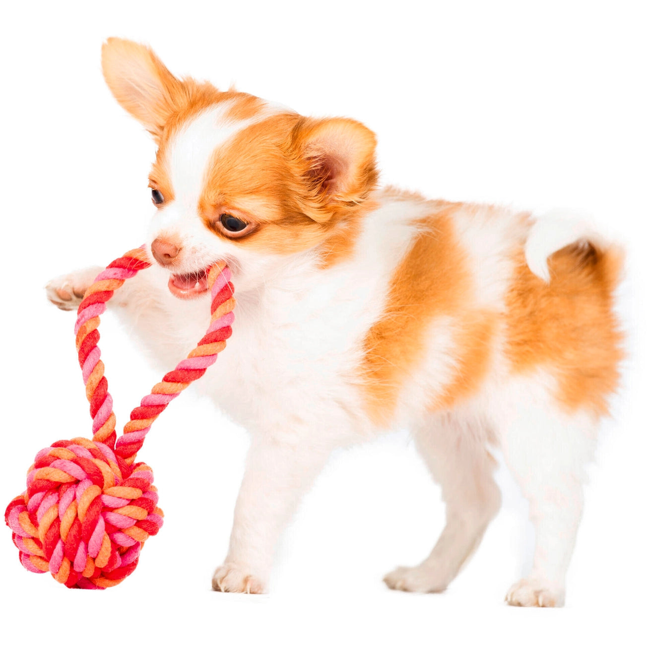 Boule de corde pour chiot rose