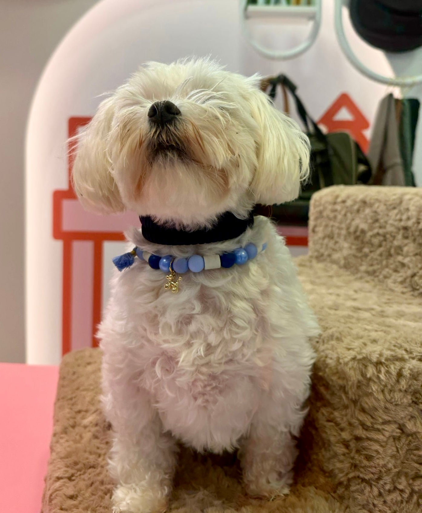 Riviera Collection - Nice tekenband