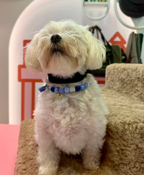 Riviera Collection - Nice tekenband