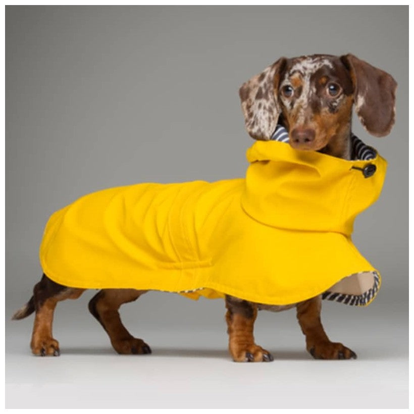 Regenjas geel 2.0 - Teckel