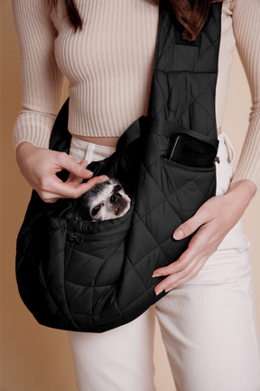 Bear Cool Black 2.0