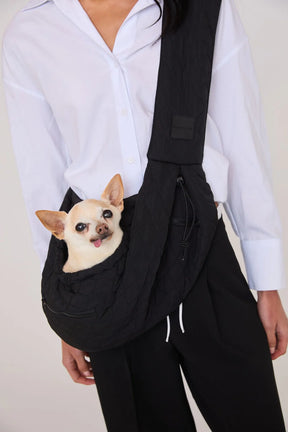 Bear Cool Black 2.0