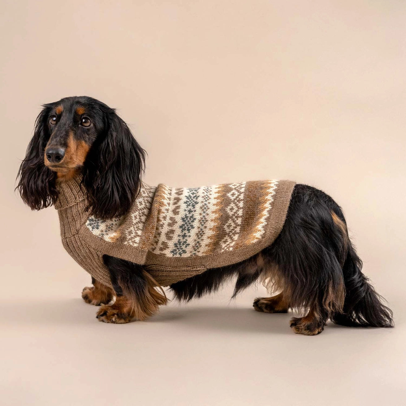 Cozy autumn Alpaca pull