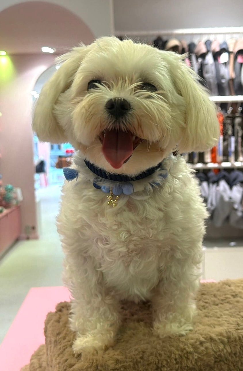 Riviera Collection - Cape Ferrat halsband