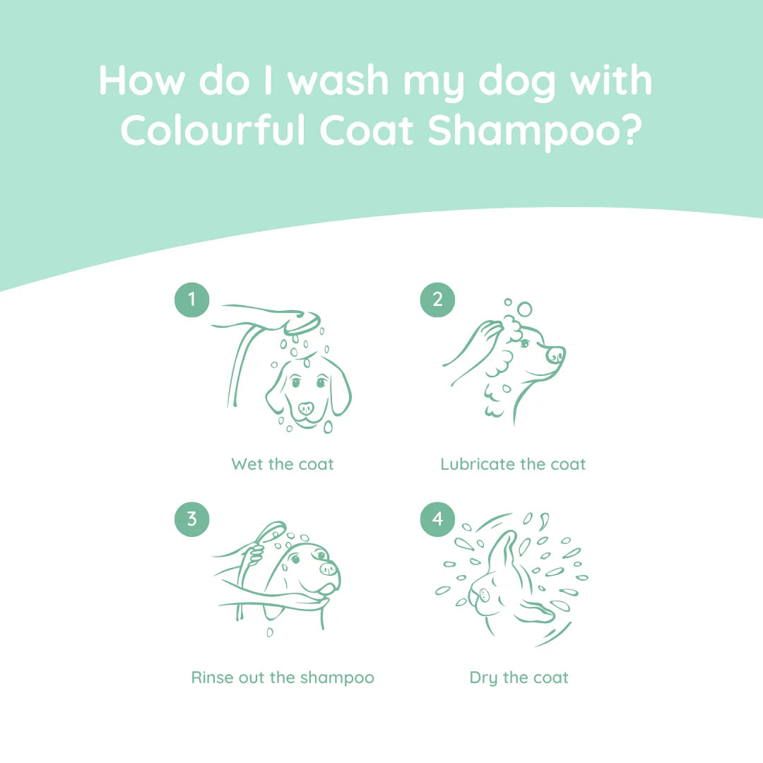 Shampoing coloré