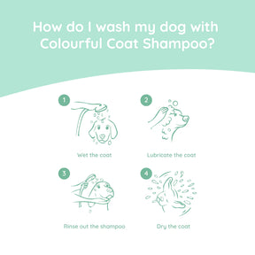 Shampoing coloré