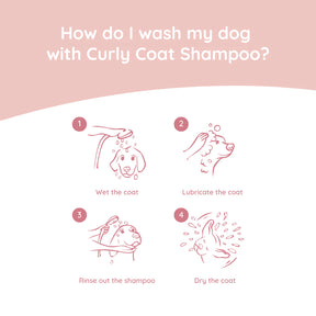 Shampoing pour poil bouclé