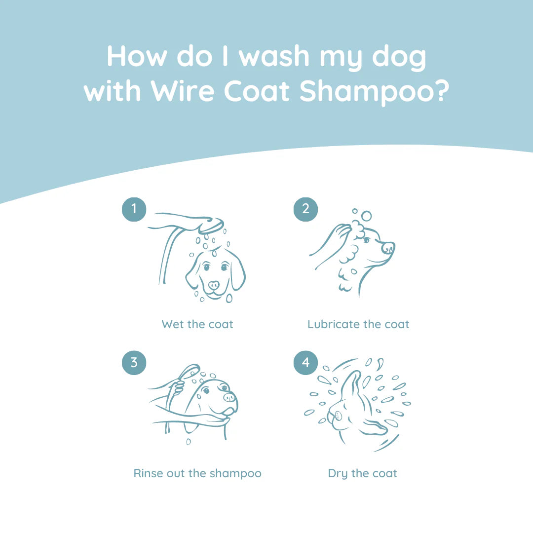 Wire coat shampoo