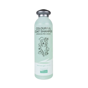 Shampoing coloré