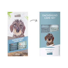 Rough hair doxie care