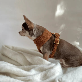 Autumn Collection - Soft harnas Teddy Cinnamon
