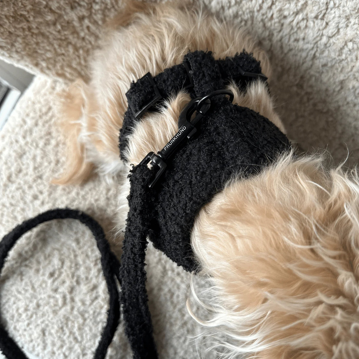 Autumn Collection - Soft Harness Teddy Black Pepper