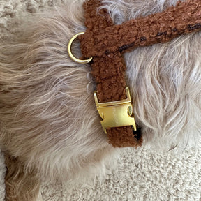 Teddy cinnamon harness