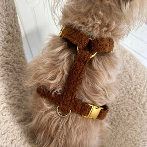 Teddy cinnamon harness