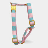 Candy harnas