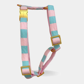 Candy harnas