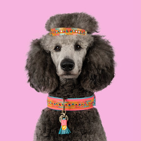 Indian Summer halsband
