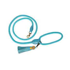 Turquoise Blue New Edition