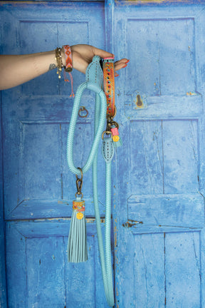 Turquoise Blue New Edition