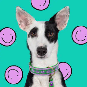 Purple Smile