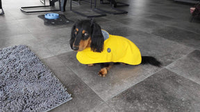 Regenjas geel