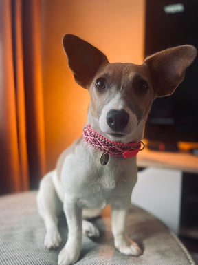 Rosalita