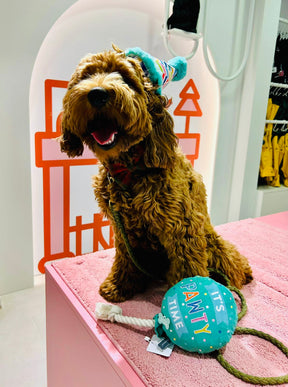 Pawty balloon