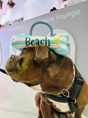 Beach Sign