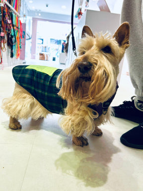 Neon scottic puffer jacket
